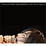 the fighting men’s chronicle special THE ELEPHANT KASHIMASHI LIVE BEST BOUT