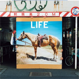 LIFE(初回生産限定盤)[CD+LIVE CD]